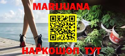 стаф Лесосибирск