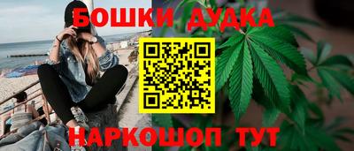 стаф Лесосибирск