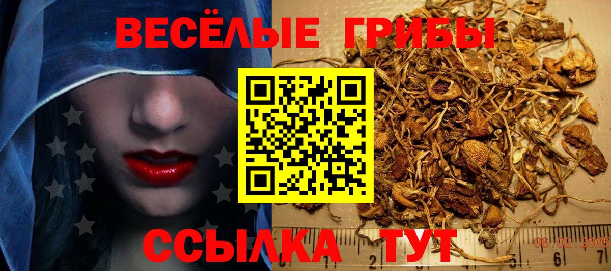 Псилоцибиновые грибы Magic Shrooms  Вход с VPN  Каменск-Уральский  Галлюциногенные грибы мухоморы 